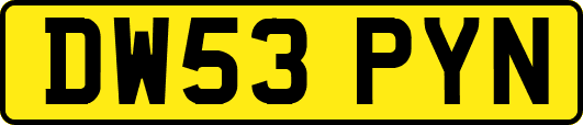 DW53PYN