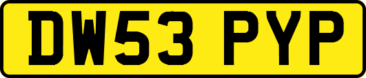 DW53PYP