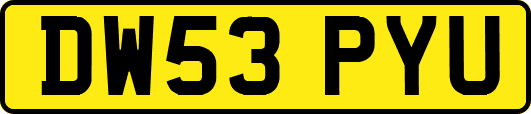 DW53PYU