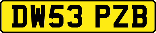 DW53PZB