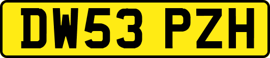 DW53PZH