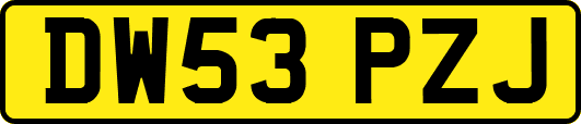 DW53PZJ