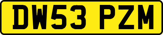 DW53PZM