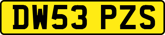 DW53PZS