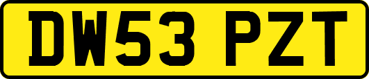 DW53PZT