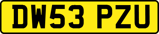 DW53PZU