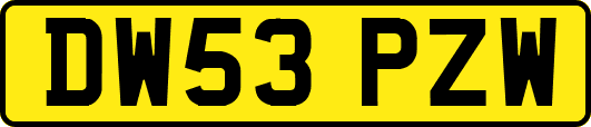 DW53PZW