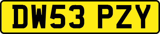 DW53PZY