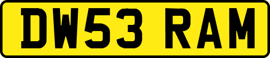 DW53RAM