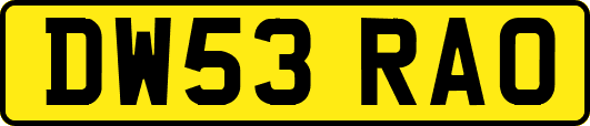 DW53RAO