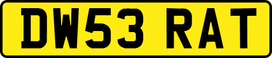 DW53RAT