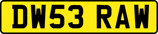 DW53RAW