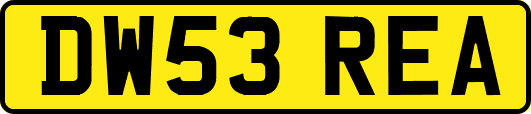 DW53REA