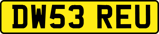DW53REU