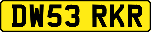 DW53RKR