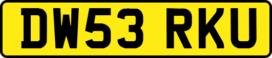 DW53RKU