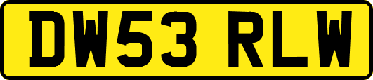 DW53RLW
