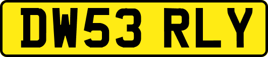 DW53RLY