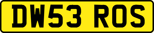 DW53ROS