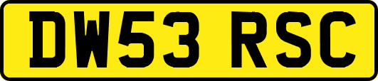 DW53RSC