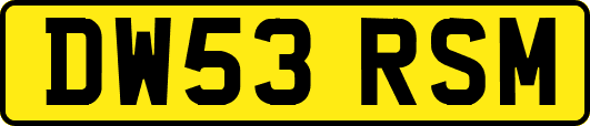 DW53RSM