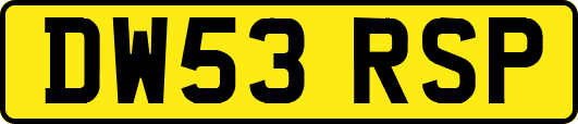 DW53RSP