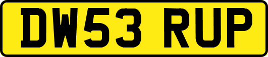 DW53RUP