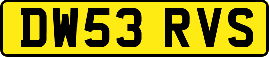 DW53RVS