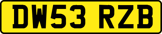 DW53RZB