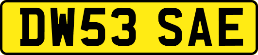 DW53SAE