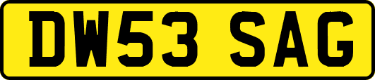 DW53SAG