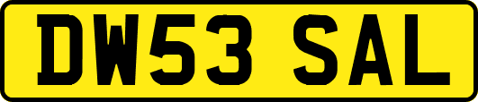 DW53SAL