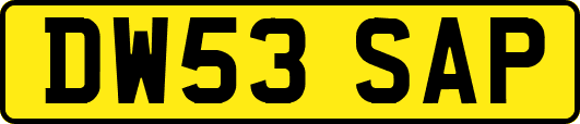 DW53SAP