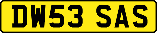 DW53SAS