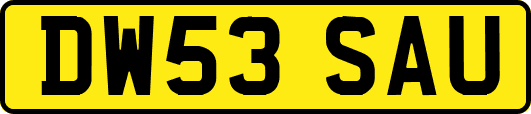 DW53SAU