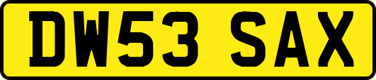 DW53SAX