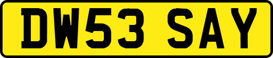 DW53SAY