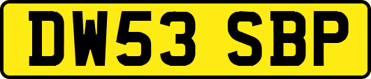DW53SBP