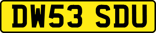 DW53SDU