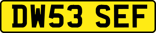 DW53SEF