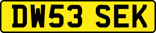 DW53SEK
