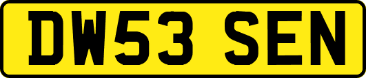 DW53SEN