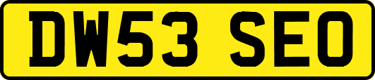 DW53SEO