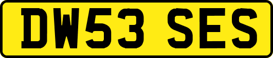 DW53SES