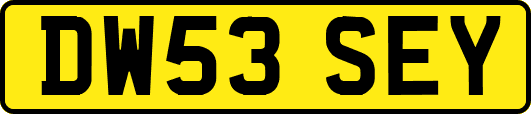 DW53SEY
