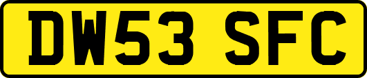 DW53SFC
