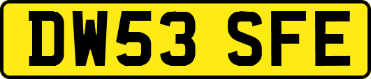 DW53SFE