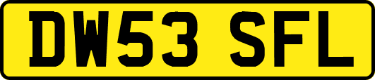 DW53SFL