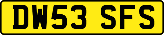 DW53SFS
