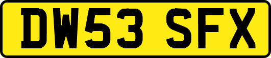 DW53SFX